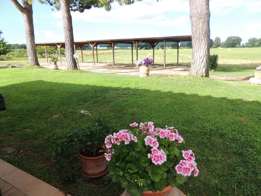 Agriturismo Valle Martina Saturnia Exteriér fotografie